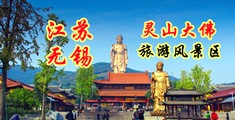 男生日逼视频免费网站江苏无锡灵山大佛旅游风景区