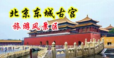 美女脱衣自慰黄色网站中国北京-东城古宫旅游风景区